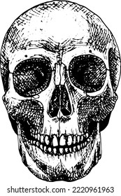 Vector skull for tattoo, hand drawn human skull in black and white style. Graphic arts