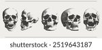 Vector skull. Trendy monochrome retro elements. Modern stipple dots texture for design art. y2k collage set for poster, banner, cover.