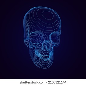 Vector Skull X-Ray Lines Effect. Internet Security Concept. Virus Or Malware Ransomware Abstract Visualization. Hacking Big Data Illustration. Death Vector Illustration. 