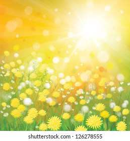 Vector of sky background with yellow dandelions.