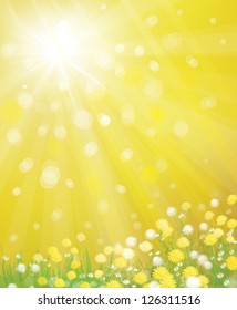 Vector of sky background with yellow dandelions.