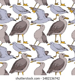 Vector Sky bird seagull in a wildlife isolated. Wild freedom, bird with a flying wings. Black and white engraved ink art. Seamless background pattern. Fabric wallpaper print texture.