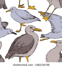 Vector Sky bird seagull in a wildlife isolated. Wild freedom, bird with a flying wings. Black and white engraved ink art. Seamless background pattern. Fabric wallpaper print texture.