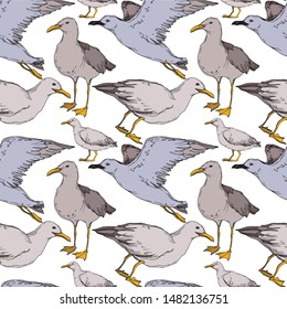 Vector Sky bird seagull in a wildlife isolated. Wild freedom, bird with a flying wings. Black and white engraved ink art. Seamless background pattern. Fabric wallpaper print texture.