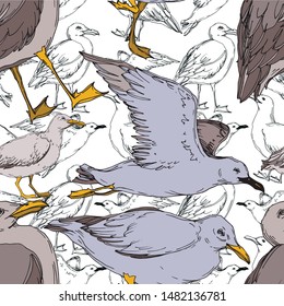 Vector Sky bird seagull in a wildlife isolated. Wild freedom, bird with a flying wings. Black and white engraved ink art. Seamless background pattern. Fabric wallpaper print texture.