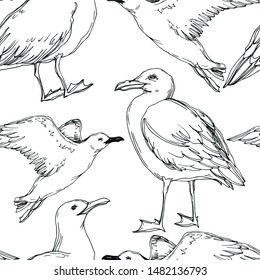 Vector Sky bird seagull in a wildlife isolated. Wild freedom, bird with a flying wings. Black and white engraved ink art. Seamless background pattern. Fabric wallpaper print texture.