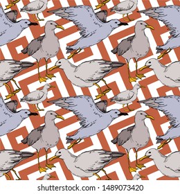 Vector Sky bird seagull in a wildlife isolated. Wild freedom, bird with a flying wings. Black and white engraved ink art. Seamless background pattern. Fabric wallpaper print texture.