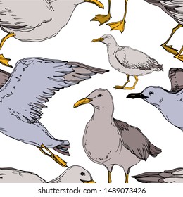 Vector Sky bird seagull in a wildlife isolated. Wild freedom, bird with a flying wings. Black and white engraved ink art. Seamless background pattern. Fabric wallpaper print texture.