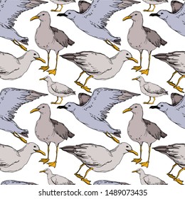 Vector Sky bird seagull in a wildlife isolated. Wild freedom, bird with a flying wings. Black and white engraved ink art. Seamless background pattern. Fabric wallpaper print texture.