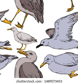 Vector Sky bird seagull in a wildlife isolated. Wild freedom, bird with a flying wings. Black and white engraved ink art. Seamless background pattern. Fabric wallpaper print texture.