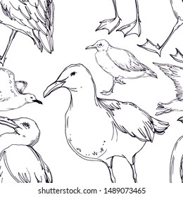 Vector Sky bird seagull in a wildlife isolated. Wild freedom, bird with a flying wings. Black and white engraved ink art. Seamless background pattern. Fabric wallpaper print texture.