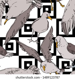 Vector Sky bird seagull in a wildlife. Wild freedom, bird with a flying wings. Black and white engraved ink art. Seamless background pattern. Fabric wallpaper print texture.