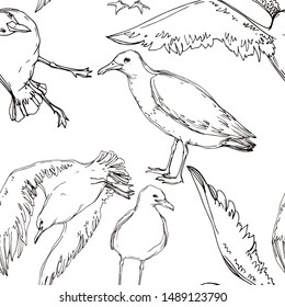 Vector Sky bird seagull in a wildlife. Wild freedom, bird with a flying wings. Black and white engraved ink art. Seamless background pattern. Fabric wallpaper print texture.