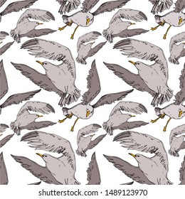 Vector Sky bird seagull in a wildlife. Wild freedom, bird with a flying wings. Black and white engraved ink art. Seamless background pattern. Fabric wallpaper print texture.