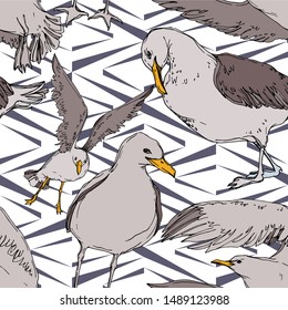 Vector Sky bird seagull in a wildlife. Wild freedom, bird with a flying wings. Black and white engraved ink art. Seamless background pattern. Fabric wallpaper print texture.