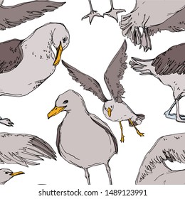 Vector Sky bird seagull in a wildlife. Wild freedom, bird with a flying wings. Black and white engraved ink art. Seamless background pattern. Fabric wallpaper print texture.