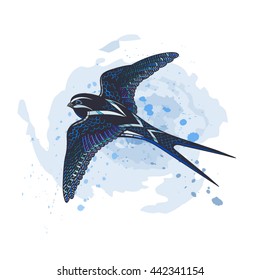 Vector Sky Blue Swallow Illustration