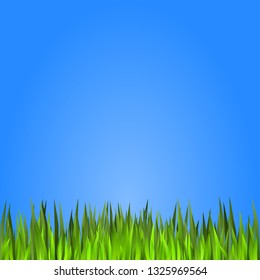 Vector sky and grass natural background. Bright and colorful green grass and blue sky. Vector illustration for your graphic design.