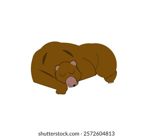 Vector of a sleeping brown bear