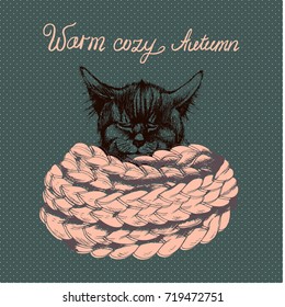 Vector sleeping cat in a knitted scarf with lettering. Cozy autumn illustration.
Ink drawn animal sketch in retro style.
