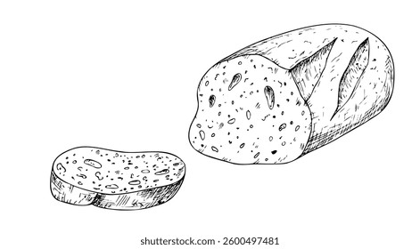 Vector slice of bread, bakery. Graphic ink loaf food, whole grain bread, ciabatta, brown homemade, baguette. Bun illustration isolated on background. Hand drawn line sketch. For designers, prints