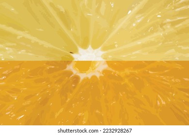 Vector of slice of lemon and orange background. Symbol of fruit.