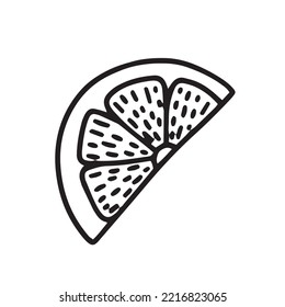 Vector slice of lemon sketch