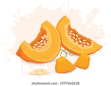 vector slice of pumpkin with pumpkin seeds on white background