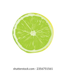 Vector slice ripe lemon citrus fruit on a white.