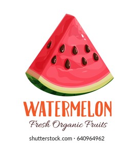 Vector slice watermelon. Fruit illustration for farm market menu. Healthy food design