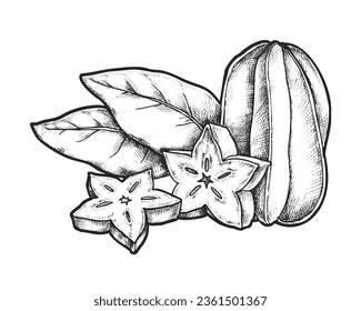Imagen de carambola en rodajas vectoriales. Esbozo de fruta tropical. Ingrediente de ensaladas vegetarianas dibujado a mano. Postre vegano en forma de estrella para recetas o libros de cocina. Agricultura y cosecha, tema tropical