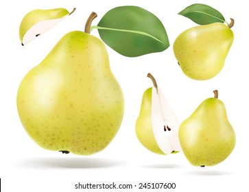 Vector sliced pear 