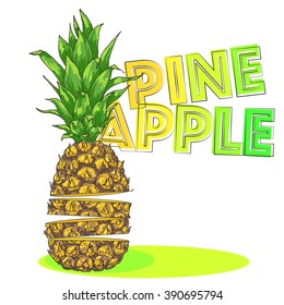 Vector sliced pineapple illustration, hand drawn ananas sketch with text. Summer juicy fruit