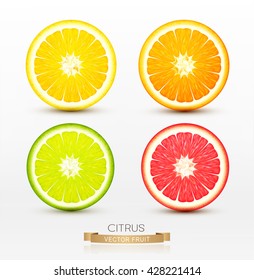 fatias vetoriais de laranja, toranja, lima, limão isolado sobre fundo branco