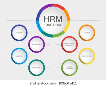 Vector slide template with circle diagram. Human resources management or HRM functions diagram scheme: planning recruitment selection placement training performance management compensation career plan