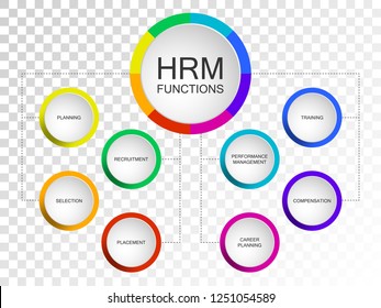 Vector slide template with circle diagram. Human resources management or HRM functions diagram scheme: planning recruitment selection placement training performance management compensation career plan