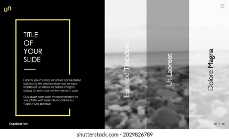 Vector slides for presentation. This You can be used for annual report and all type of company profile. Easy to edit and you can replace your own photos and color as well as text. Slide from set №2