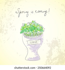 Vector slightly colored sketch spring background with cress sprouts in a cup for Easter card, eco background, cover design vintage grunge style