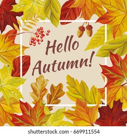 Vector slogan hello autumn of rowan acorn and red yellow leaves of oak, maple, birch. Seamless pattern nature background