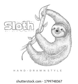 vector of sloth climbing a tree. hand drawn animal illustration