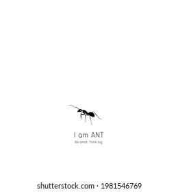 vector small ant in black design illustration