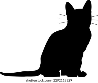 Vector small cat with whiskers sitting on white background