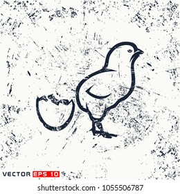 vector small chicken silhpuette on grunge background
