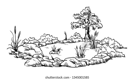 vector - small garden pond - isolated on background