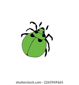 Vector small green bedbug, abstract beetle. Garden pest, bug, insect. Simple illustration, clip art in doodle flat style, isolated