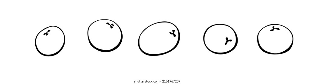 Bellas de arándanos dibujadas a mano por el vector por separado. Bayas de Rowan, viburnum, arándanos, lingonberry, arándanos. Elemento de diseño decorativo, clipart in doodle aíslado