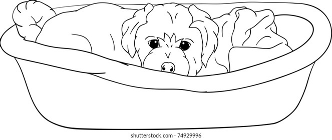 vector - small puppy lying in cot, isolated on background