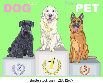 Vector smiling dog champion of different breeds on the podium