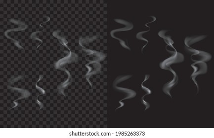 Vector smoke. With transparent effect, can apply on food, drinks, cigaratte, etc.