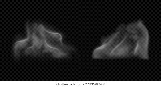 Vector smoke transparent effect. Steam from meal or barbeque, perfume aroma smell